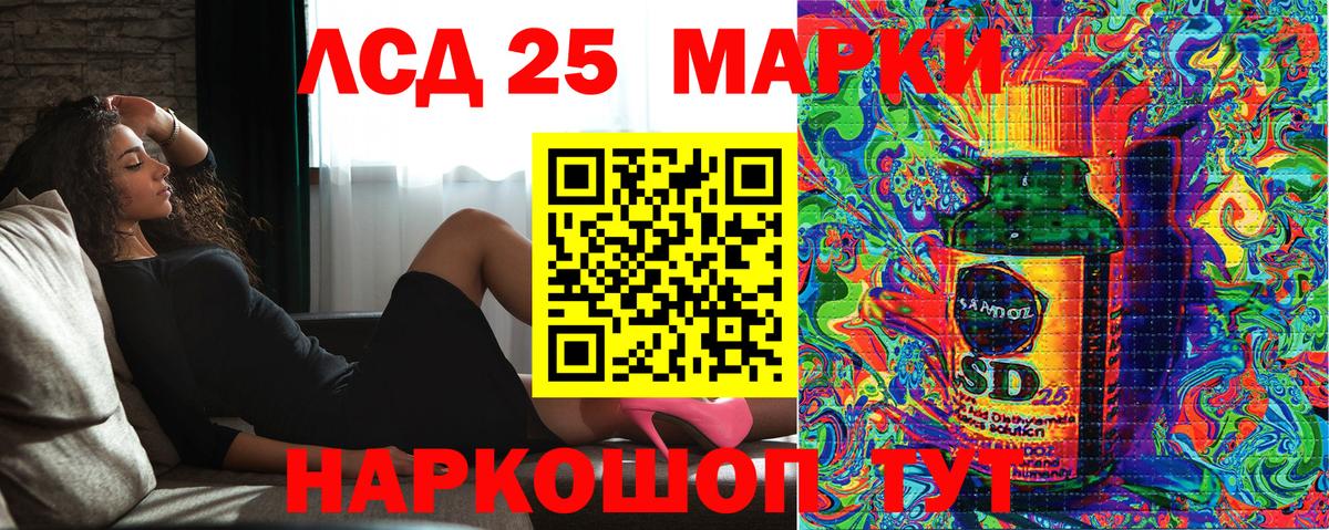 закладка  Марки NBOMe 1500мкг  Вход с VPN  Курчатов  Марки NBOMe 1500мкг 