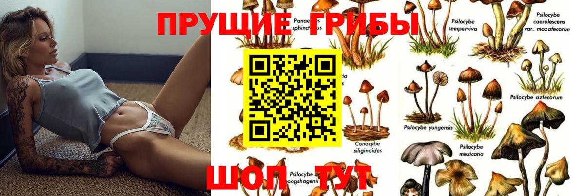 Псилоцибиновые грибы мухоморы  Галлюциногенные грибы MAGIC MUSHROOMS  Курчатов  Вход с VPN 