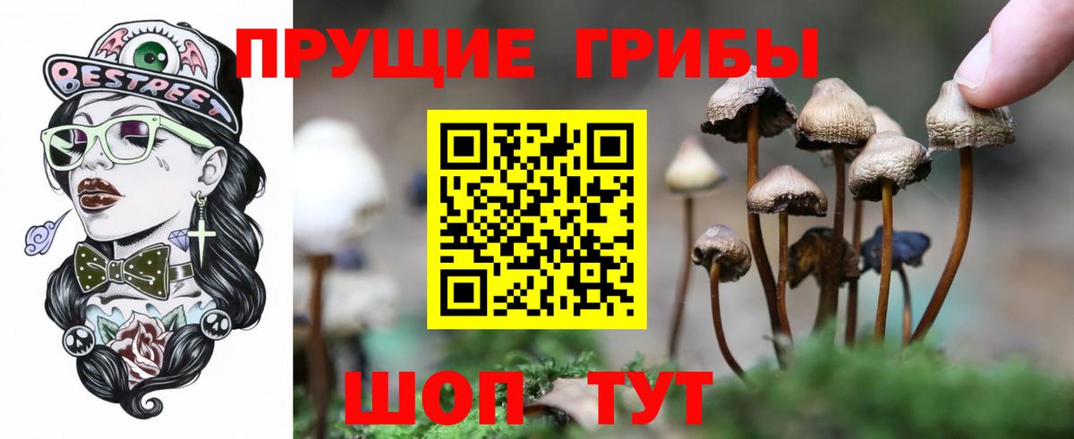 Псилоцибиновые грибы мухоморы Курчатов